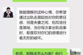 寿宁侦探公司我成了别人眼中的大龄剩女